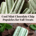 Mint Chocolate Chip Popsicles Recipe