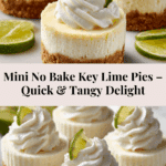 Easy Mini No Bake Key Lime Pie Recipe