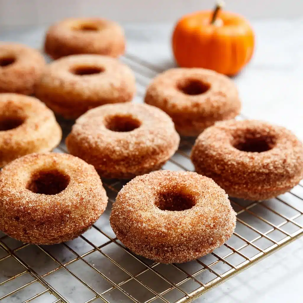 Pumpkin Spice Baked Donuts Recipe - Recipe Image