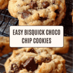 Chocolate Chip Bisquick Muffins Recipe