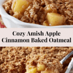 Amish-Style Apple and Cinnamon Baked Oatmeal Recipe