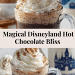 Disneyland’s Hot Chocolate Recipe