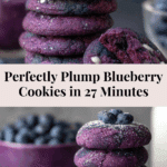 Fruity Indulgence: 5 Best Blueberry Cookie Recipes Recipe