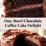 Moist Chocolate Coffee Cake (One Bowl) Recipe