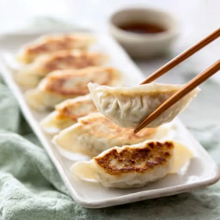 Japanese GYOZA (Dumplings) Recipe
