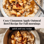 Cinnamon Apple Oatmeal Bowl Recipe