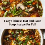 Chinese Style Hot and Sour Soup Recipe