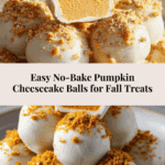 Easy No Bake Pumpkin Cheesecake Balls Recipe