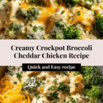 Creamy Broccoli Cheddar Chicken Delight Recipe