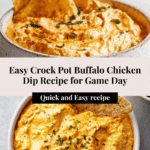 Crock Pot Buffalo Chicken Dip Recipe