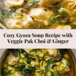 Gyoza Soup (Japanese Dumpling Soup) Recipe
