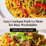 Crockpot Pork Lo Mein Recipe