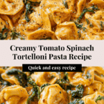 Tortelloni with Creamy Tomato Sauce and Spinach Recipe