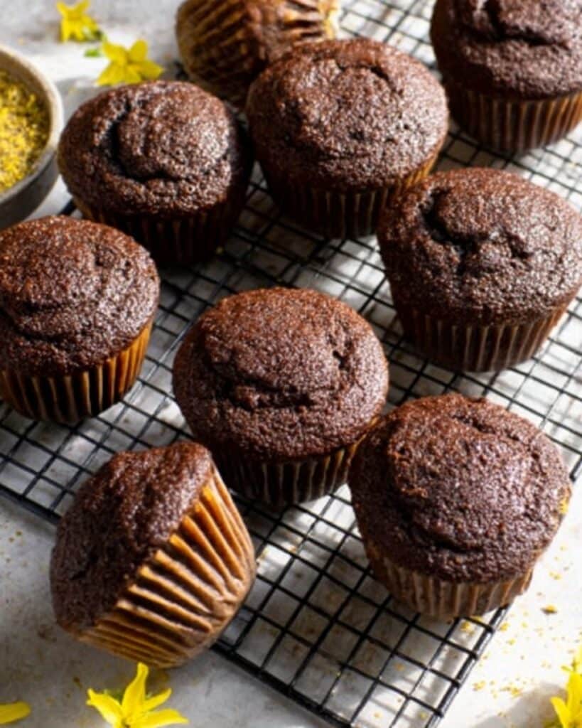 Chocolate Butternut Squash Muffins (Flourless) Recipe