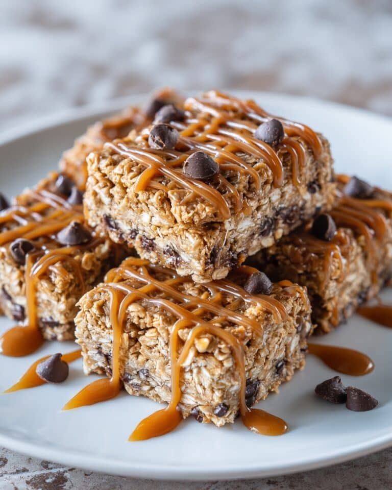 Salted Caramel Chocolate Chip Oat Cookie Bars Recipe